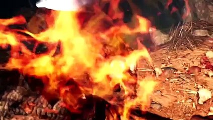 Far Cry Primal Walkthrough Gameplay_clip40