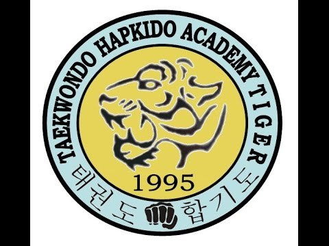 Taekwondo Hapkido Academy Tiger - 20 Anniversary