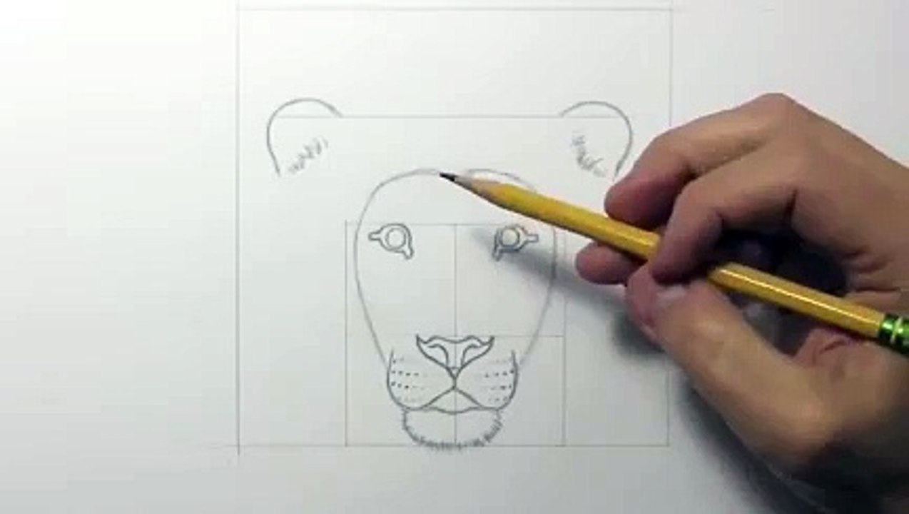 Drawing a lion_clip7