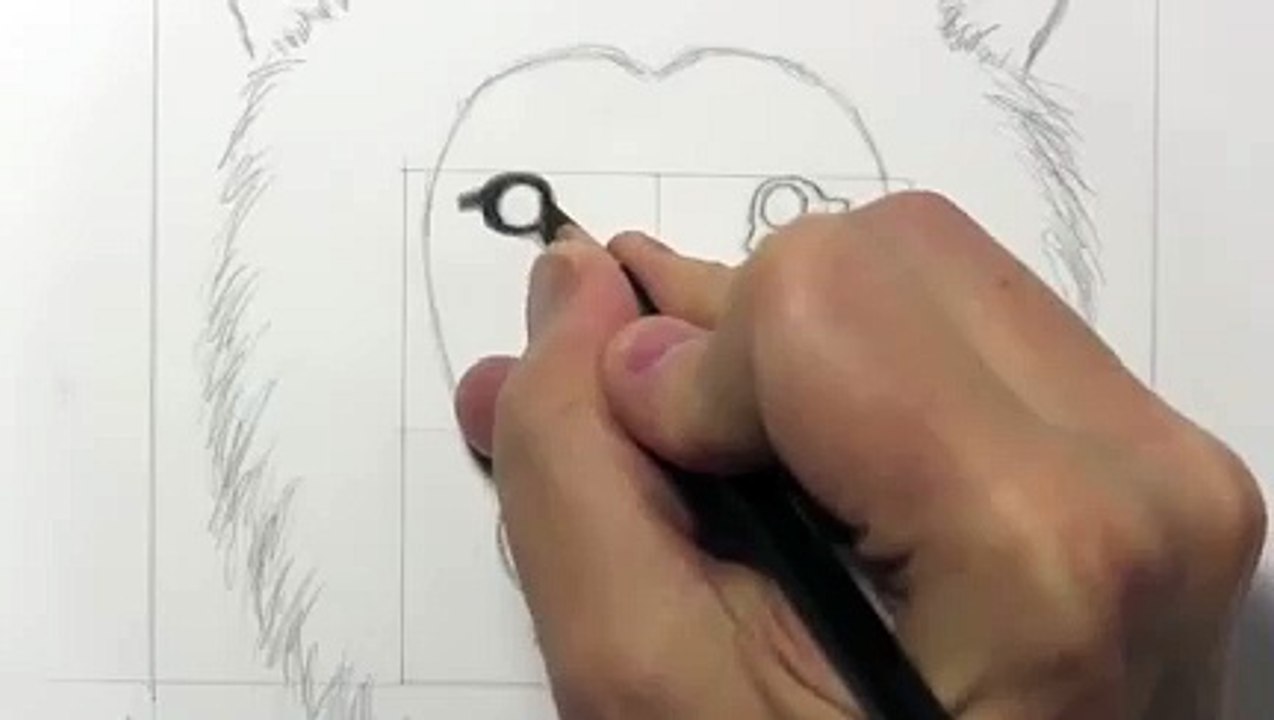 Drawing a lion_clip10