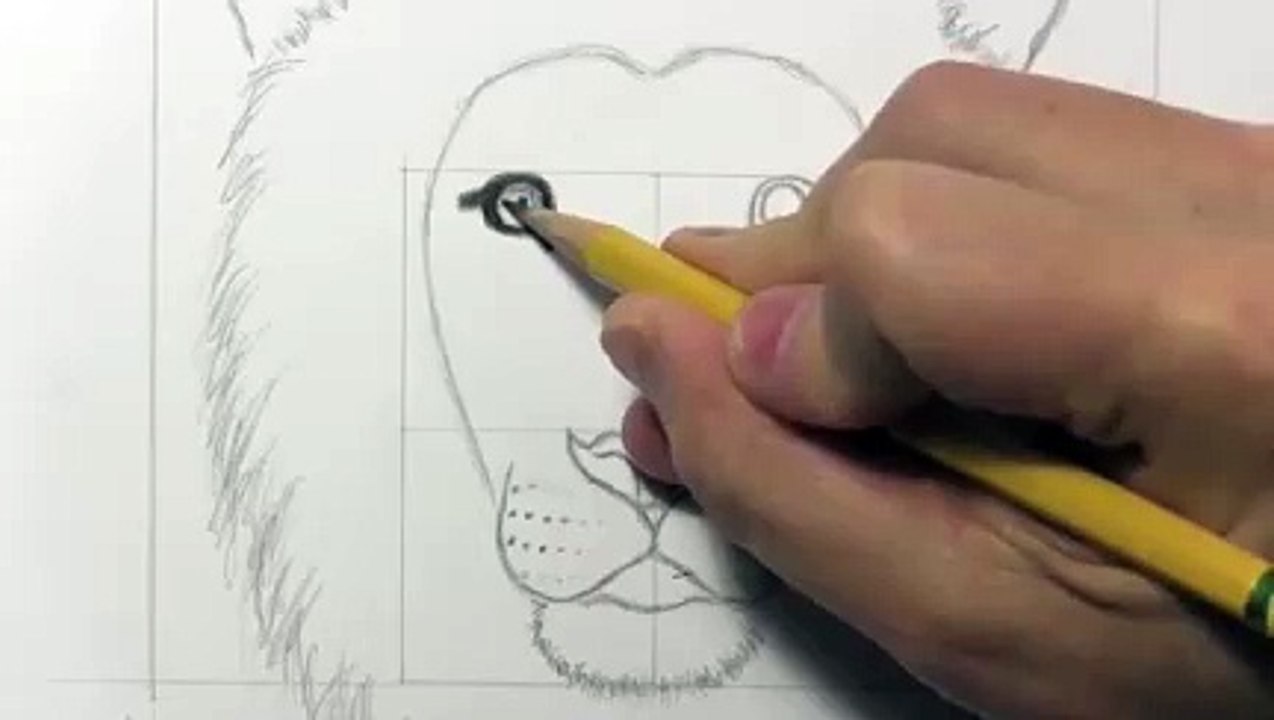 Drawing a lion_clip11