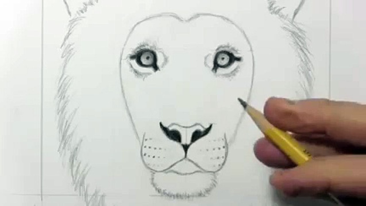 Drawing a lion_clip16