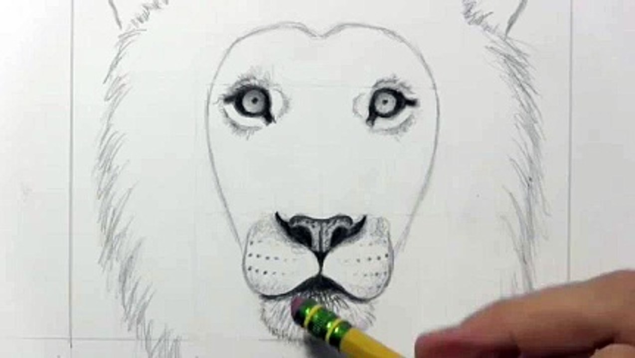 Drawing a lion_clip22