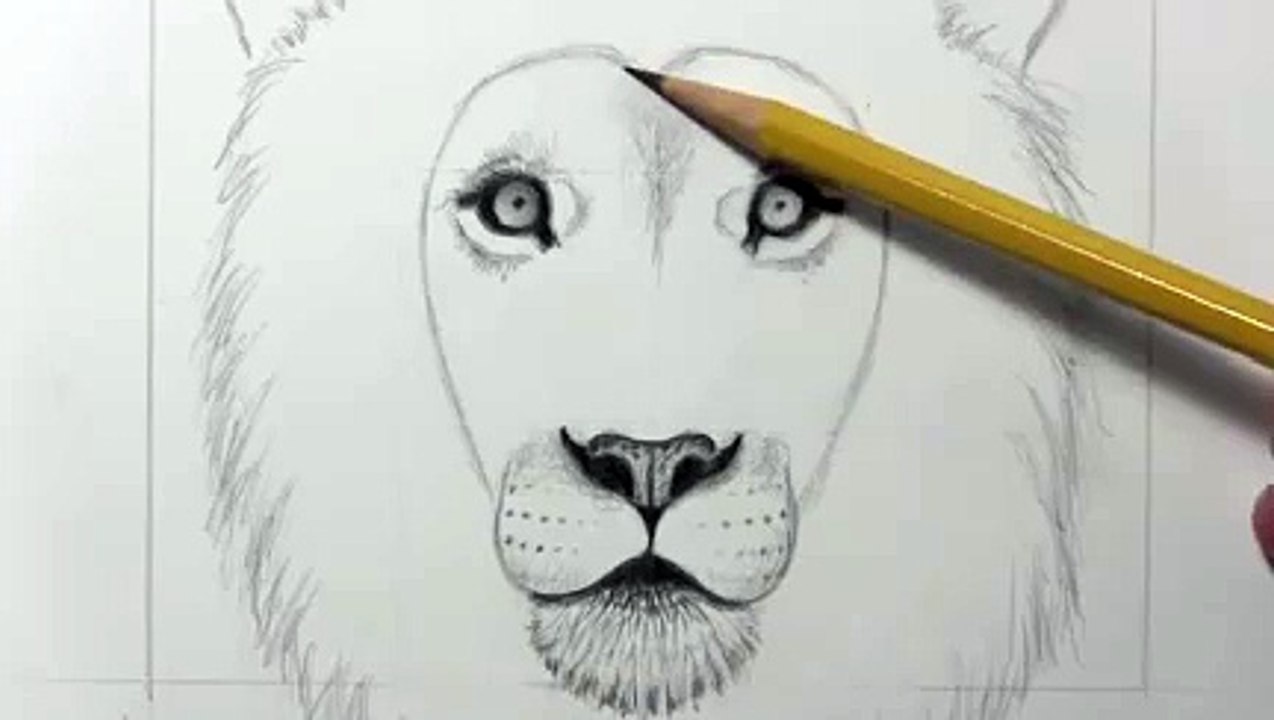 Drawing a lion_clip24