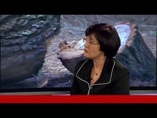 Report TV - Zhaneta Prifti: Moratoriumi 10-vjeçar i pyjeve