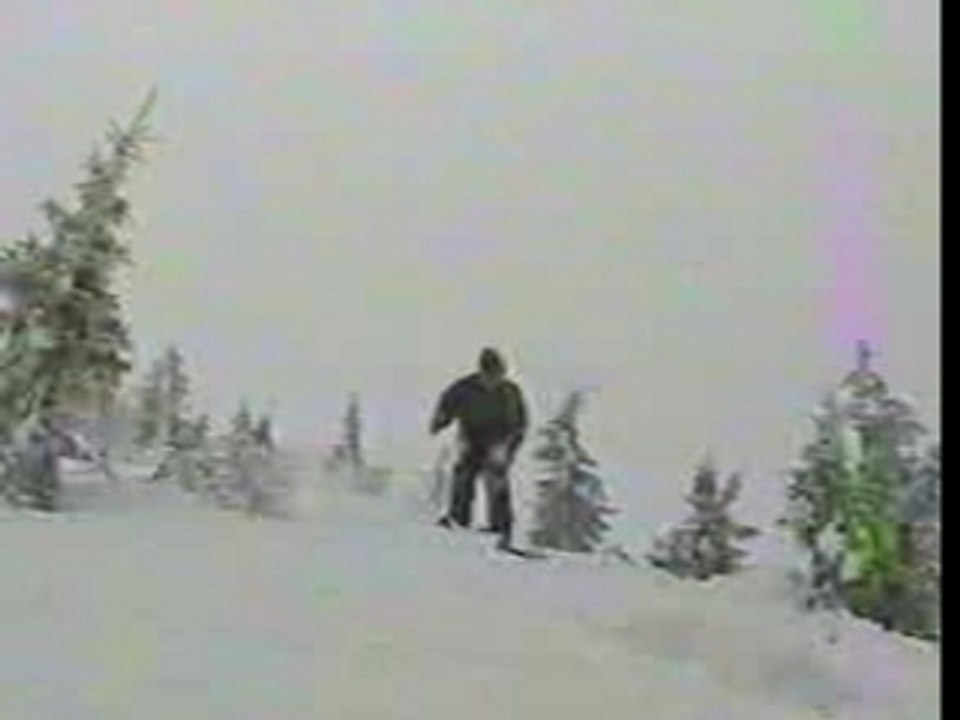 ski