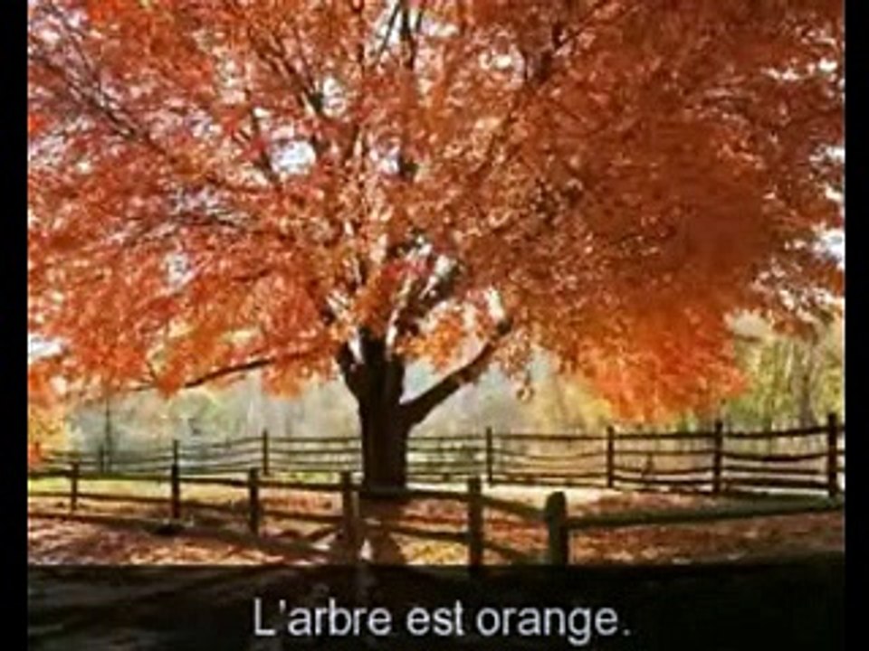 Français et Portugais A1 Leçon 3