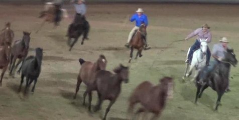 Sydney Easter Show Part 2 of 8 The Man from  Snowy River, Australiana Pioneer Village, Simply Bush 26 Mar 2016