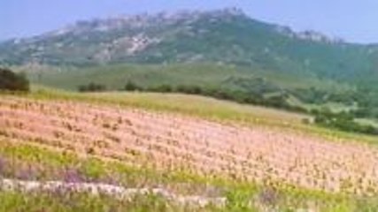 Urlaub auf der Mittelmeerinsel Korsika