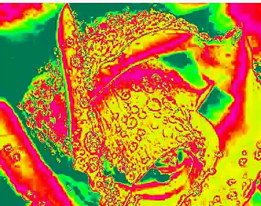 Too lost in you sugababes Lyrics in description