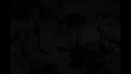 Real Mermaid Found at Karachi Beach - YouTube