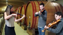 Terralsole Cellar Sessions  - Athena Tergis & Baroque Rogues
