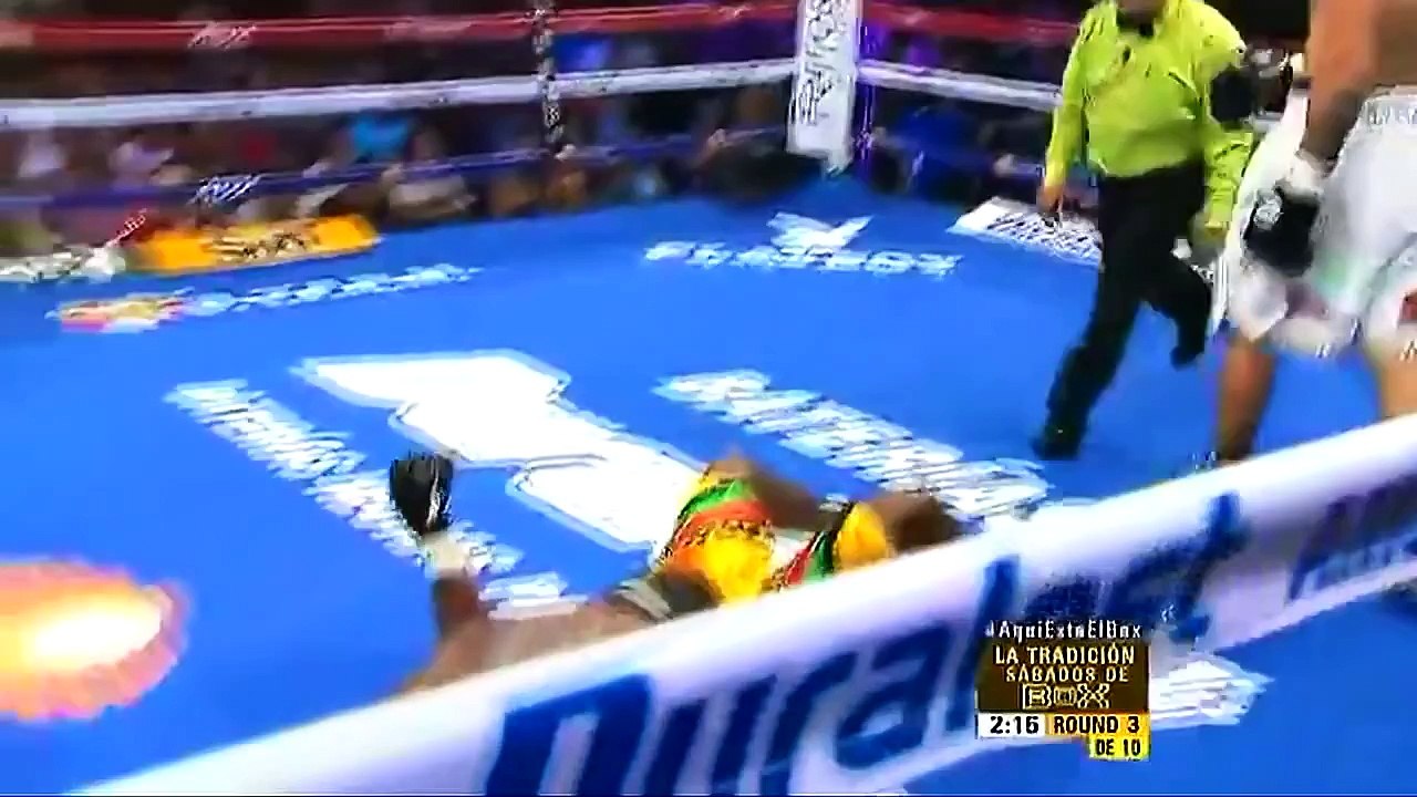 TOP 20 KNOCKOUTS OF 2015