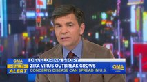Latest Details on the Zika Virus Outbreak