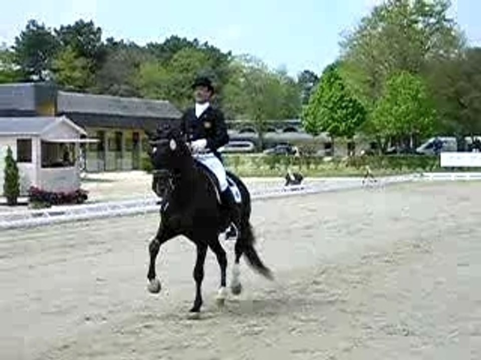 Piaffer4