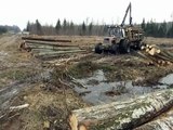 Belarus Mtz 1025 forestry tractor, difficult, wet conditions