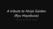 Ninja Gaiden Techno Mix (remixed original VGM)