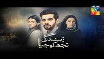 Zindagi Tujh Ko Jiya Episode 16 Promo HUM TV Drama 16 Mar 2016
