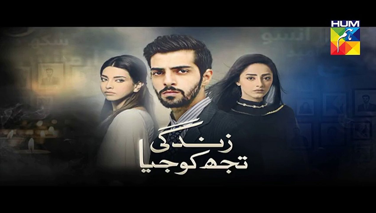 Zindagi Tujh Ko Jiya Episode 16 Promo HUM TV Drama 16 Mar 2016