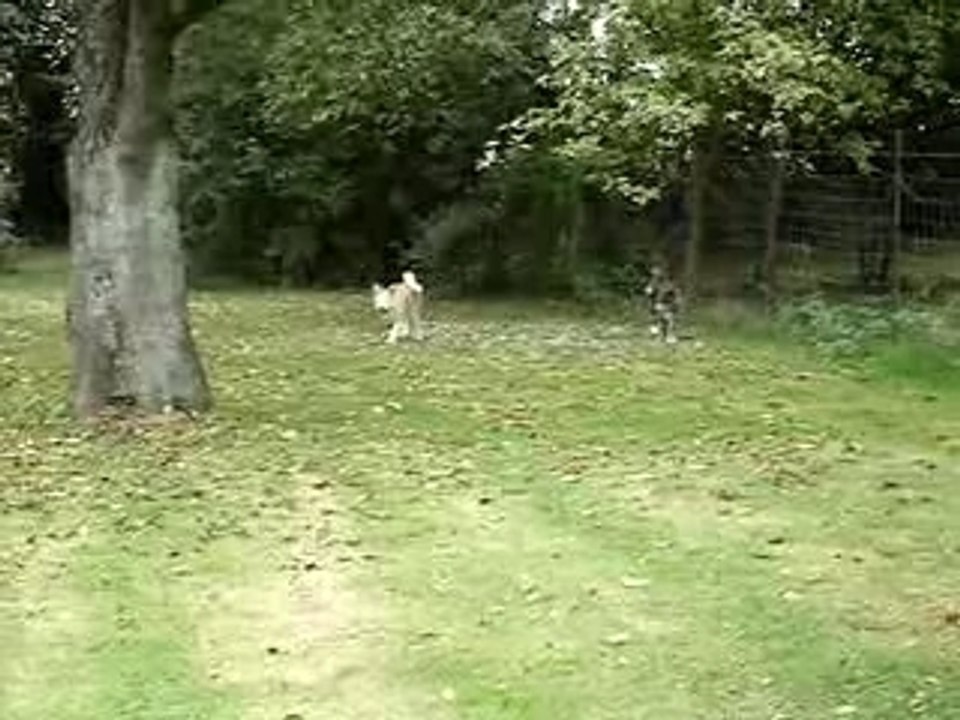 MOV00293