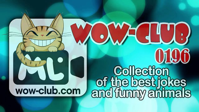 The Best Jokes and Funny Animals Compilation WOW-club #0205