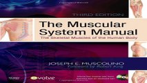 Download The Muscular System Manual  The Skeletal Muscles of the Human Body  3e