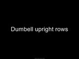 dumbell upright rows