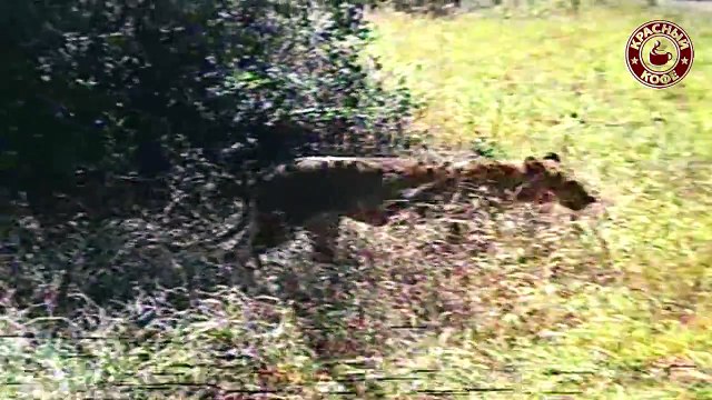 Киножурнал «Хочу всё знать» - №2