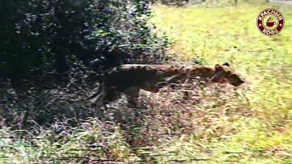 Киножурнал «Хочу всё знать» - №2