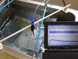 ２種類の超音波振動子（38kHz,72kHz）　ultrasonic-labo