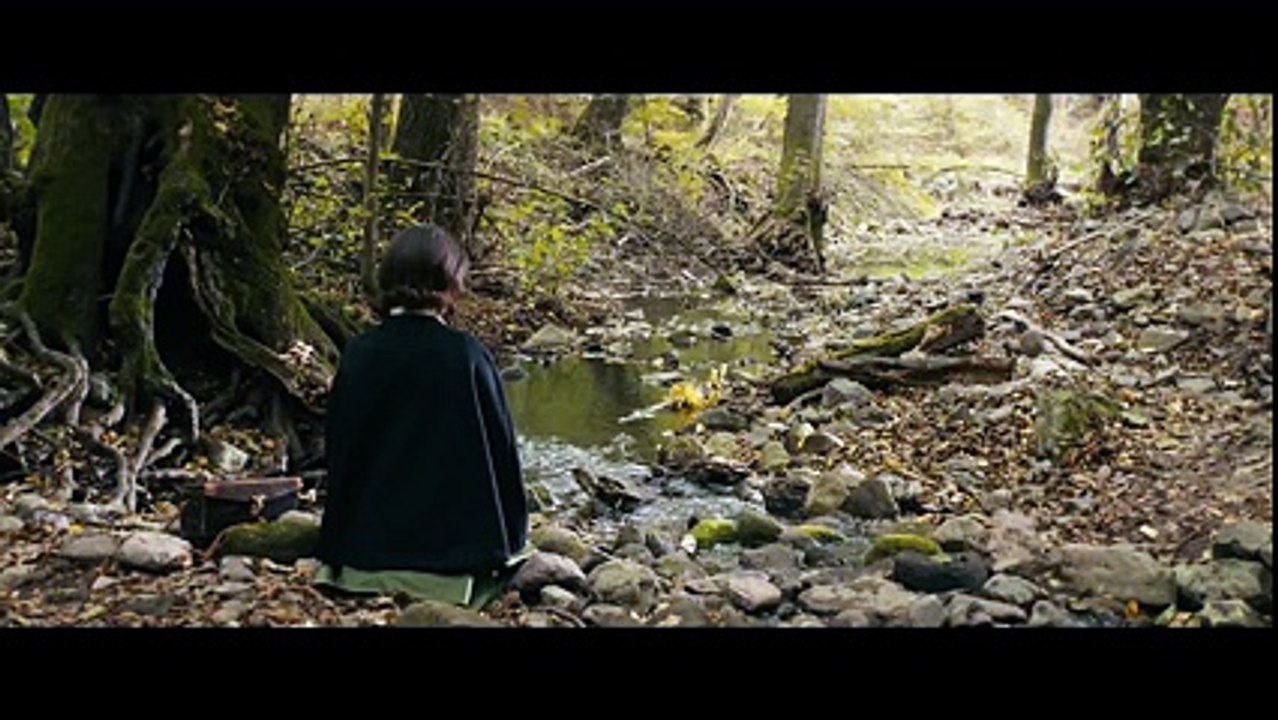 THE DUKE OF BURGUNDY Trailer