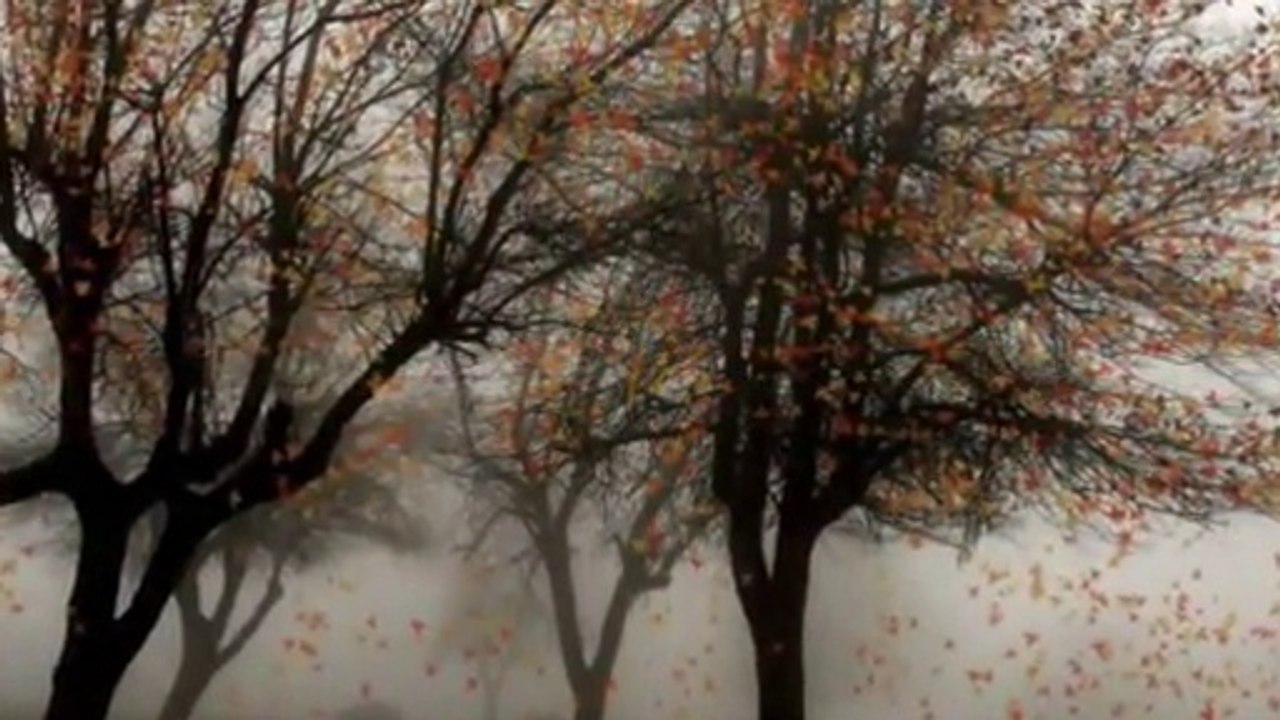 Yarim derdini ver bana dermanın olayım senin...