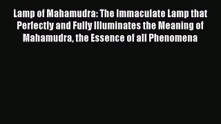 Download Lamp of Mahamudra: The Immaculate Lamp that Perfectly and Fully Illuminates the Meaning