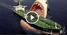 Megalodon Sharks still lives!! Evidence that MEGALODON is not extinct