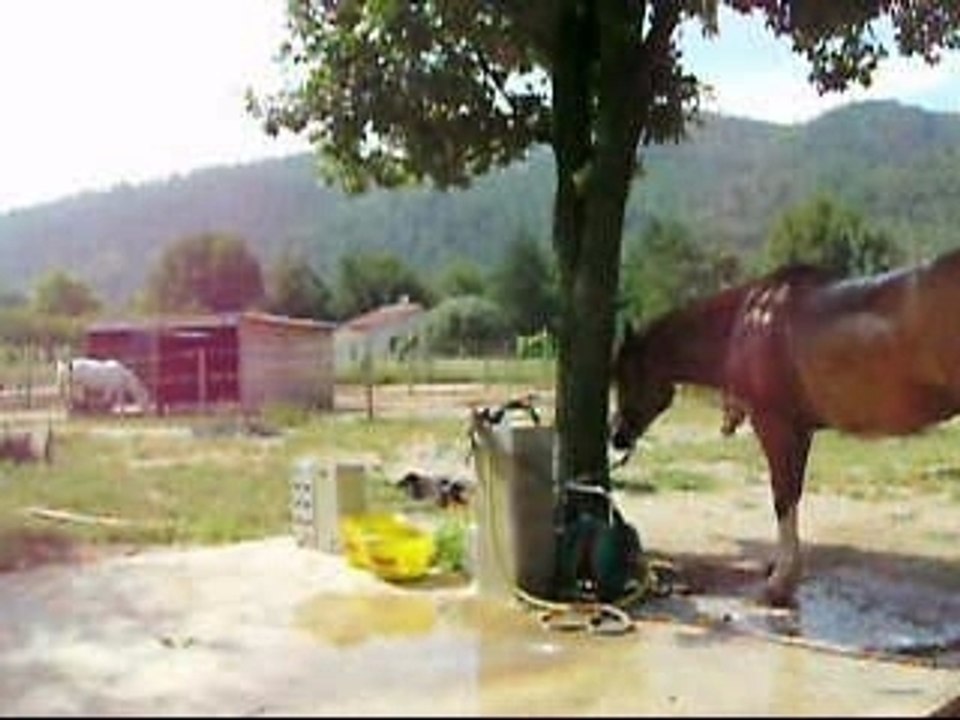 Douche 13 juin 2007