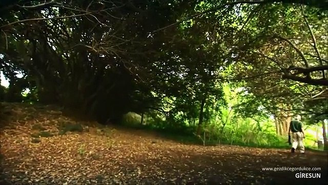 Eşref Bey Türküsü (Giresun)