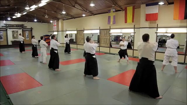 Техника Айкидо. Механика. Методика преподавания. 9