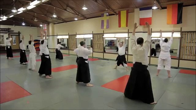 Техника Айкидо. Механика. Методика преподавания. 11