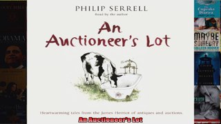 An Auctioneers Lot