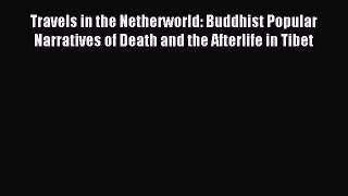 Read Travels in the Netherworld: Buddhist Popular Narratives of Death and the Afterlife in