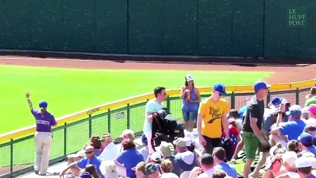 Un match de baseball interrompu... par une attaque d'abeilles