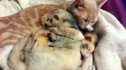 Love knows no bounds