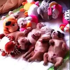 Wednesday morning feels