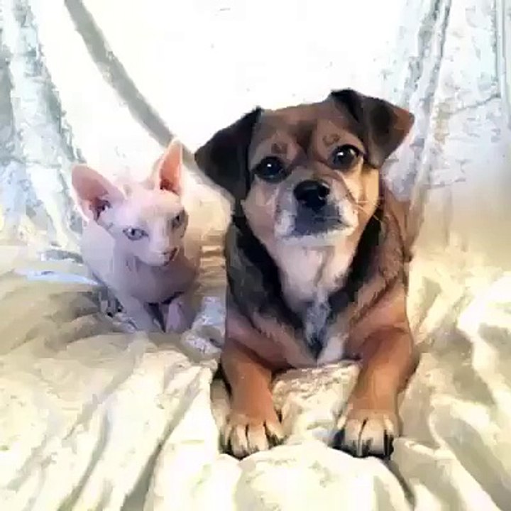Who's your best friend