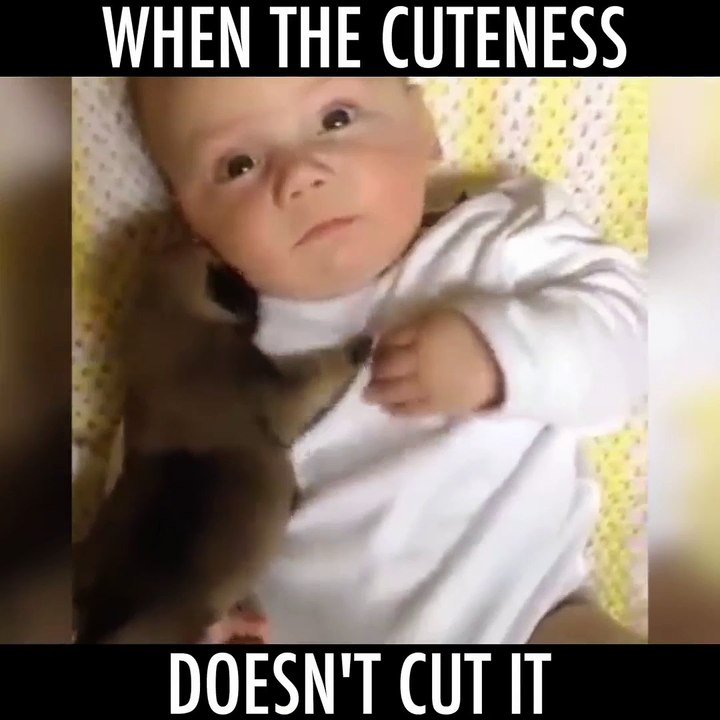 cuteness