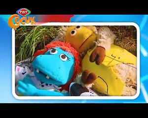 Mimocan Her Yerde - Sinema