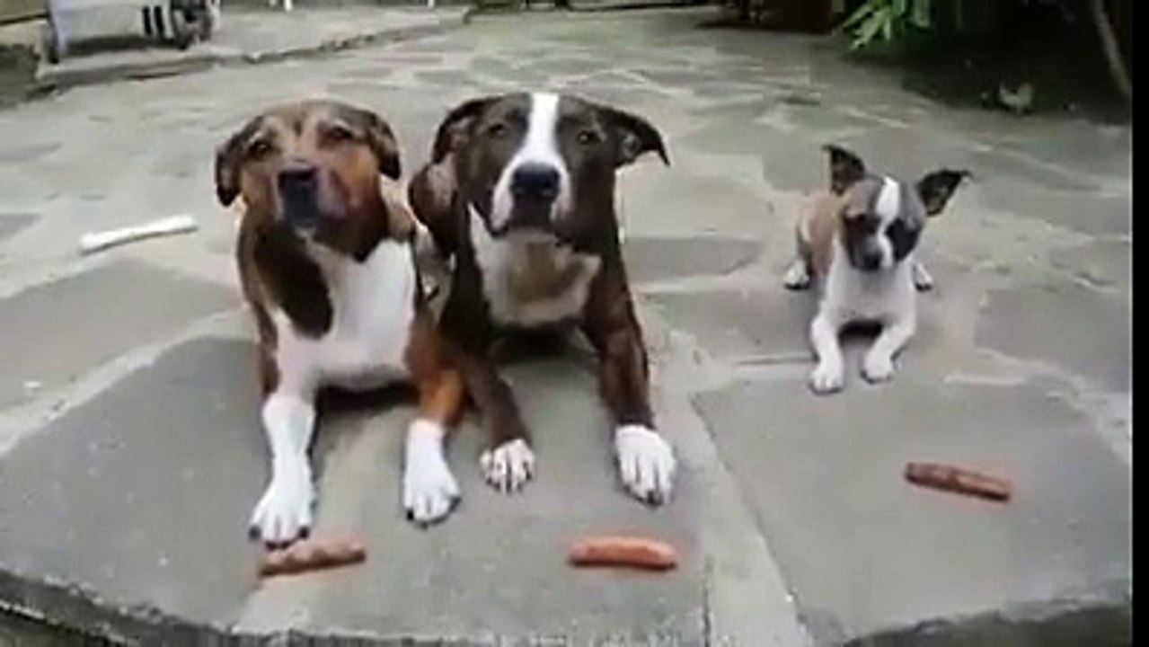 Wait for it