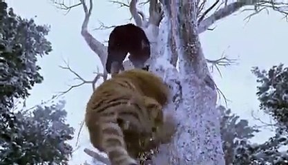 Hollywood movie short clip he fight with tiger