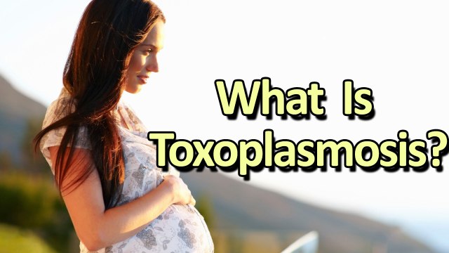 What Is Toxoplasmosis?: Symptoms and Causes || Health Tips