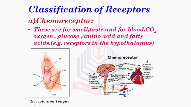 Receptors & Classification of Receptors